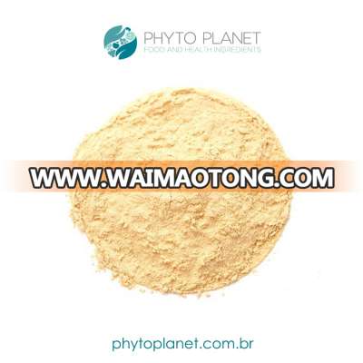 SOY EXTRACT POWDER